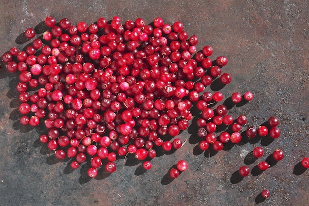 Vers geplukte cranberries