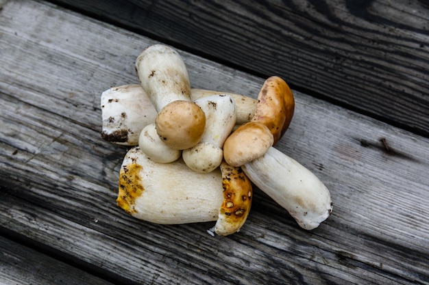 Vers geplukte eekhoorntjesbrood op een rustieke houten tafel Bovenaanzicht