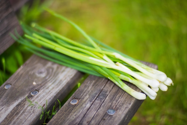 Vers geplukte groene uien uit de tuin, netjes gerangschikt op een houten bank, klaar om te worden gebruikt in uw volgende heerlijke gerecht