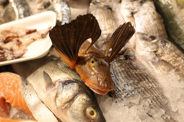 Vers gevangen zeevruchten, verschillende vissen, tentoongesteld op ijs in de supermarkt