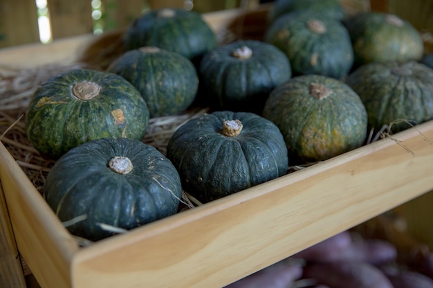 Vers gezond fruit in de boerderij te koop op een markt