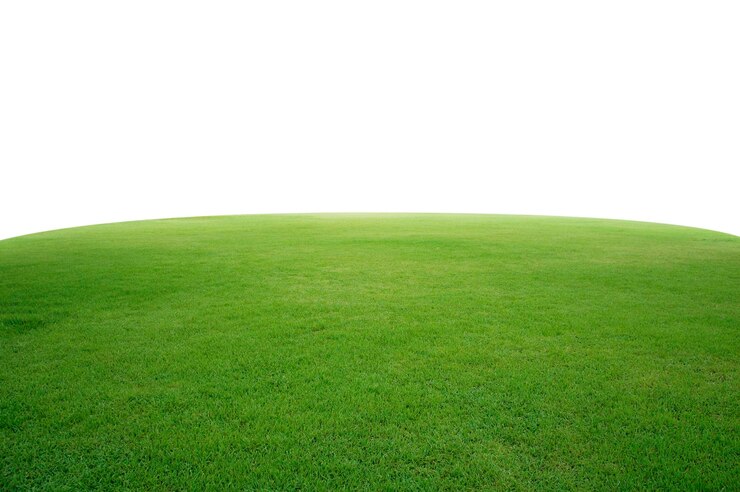 Foto vers groen gras geïsoleerd op een witte achtergrond