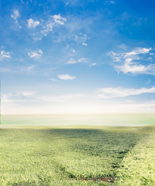 Vers groen gras met hemel op de achtergrond