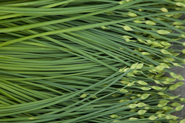 Vers knoflookbieslook