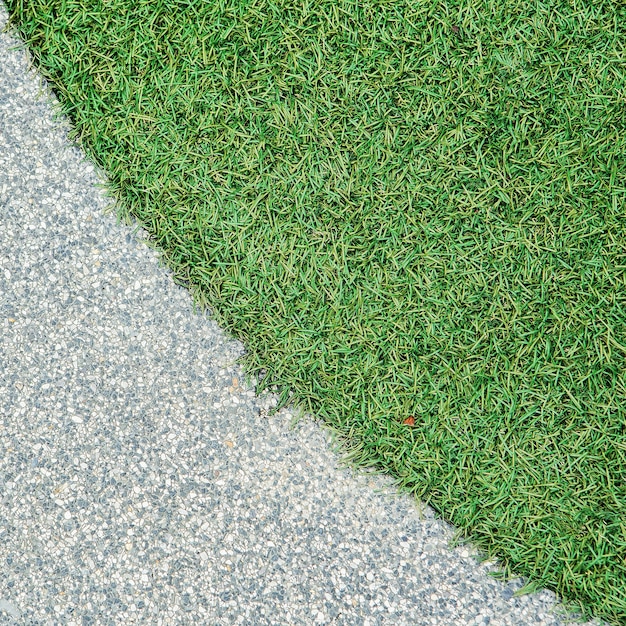 vers lente groen gras in het park.