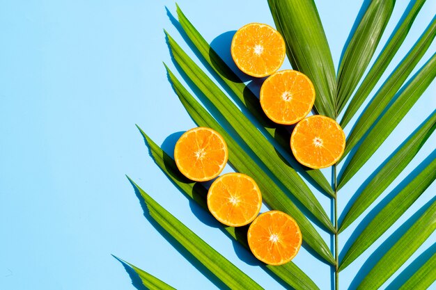 Vers oranje fruit op tropische palmbladeren