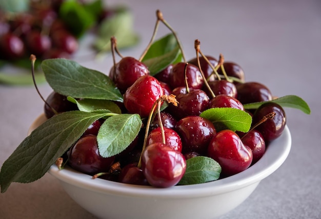 Vers rijp donker kersenfruit met groene bladeren