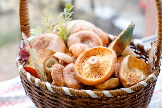 Vers roodharige eetbare paddestoelen in een rieten mand.