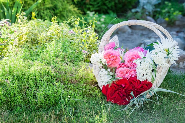 Vers snijbloemen in witte mand in zonnige tuin