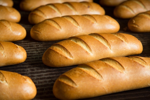 Vers warmgebakken brood op de productielijn