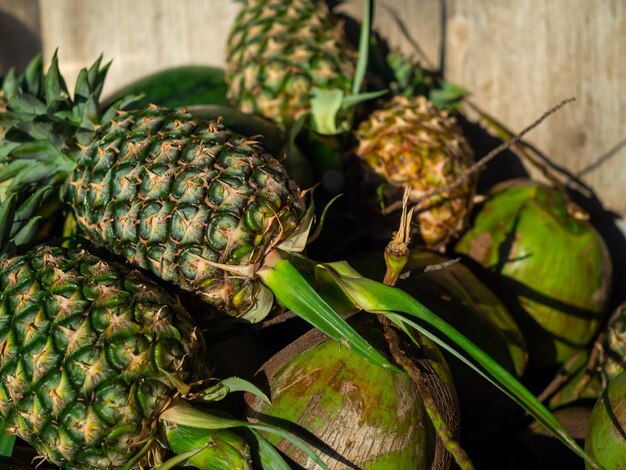 Vers zomerfruit, ananas en kokosnoten