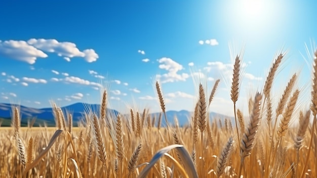 versatile grain HD 8K wallpaper Stock Photographic Image