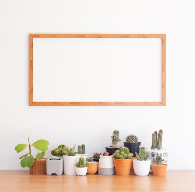 Verscheidenheid aan cactussen en vetplanten en fotolijst voor woondecoratie