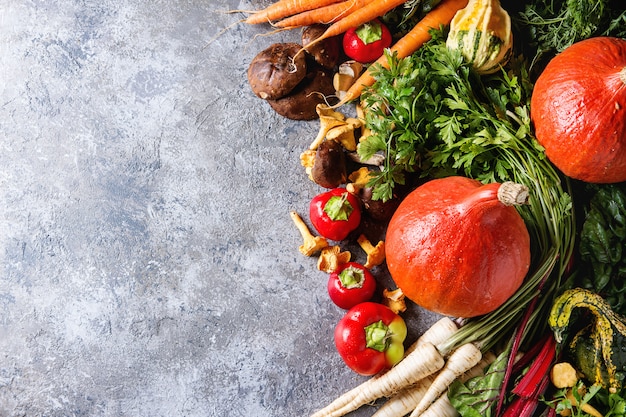 Verscheidenheid aan herfst oogst groenten