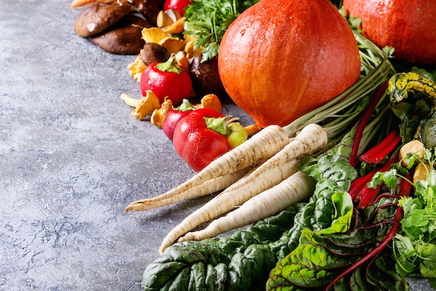 Verscheidenheid aan herfst oogst groenten