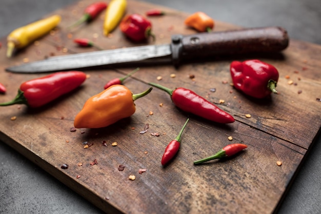 Verscheidenheid aan verse en gedroogde chilipepers