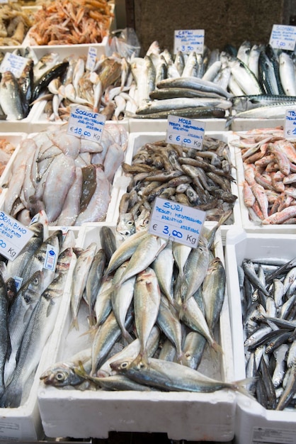 Verscheidenheid aan vis te koop op marktkraam, Bologna, Italië