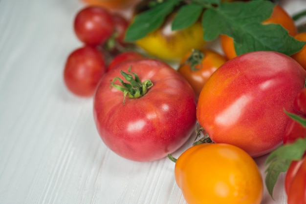 Verscheidenheid verse kleurrijke tomaten tomaten verschillende variëteiten