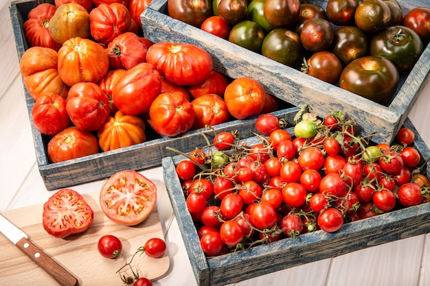 Verscheidenheid Verse tomaten in kratten