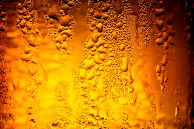 Verschillende bierflessen met condensatieClose up van bierflessenItalië