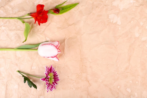 Verschillende bloemen op papier achtergrond