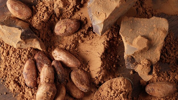 Verschillende cacao product achtergrond bovenaanzicht