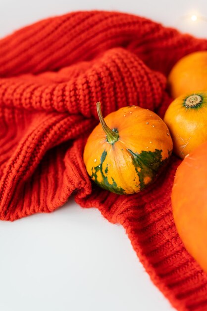 Verschillende fel oranje pompoenen op een rode achtergrond liggen op een gebreide stof Herfst warmte comfort