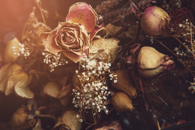 Verschillende gedroogde bloemen gevangen door het glas