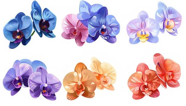 Verschillende gekleurde orchidee emojis