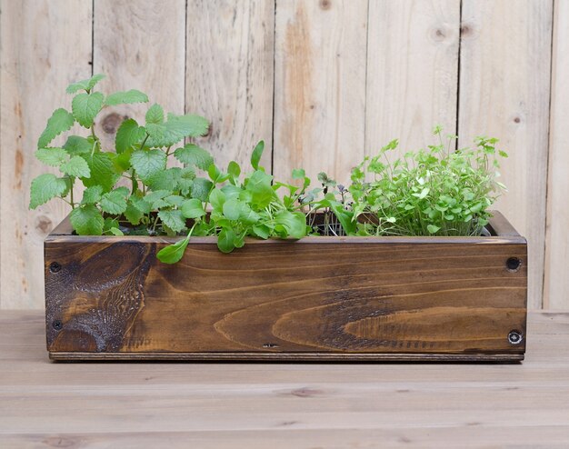 Verschillende Groenen in een houten doos op een houten achtergrond. Selectieve aandacht. Kopieer ruimte.