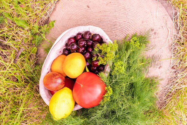 Verschillende groenten en fruit oogsten in de slechte mand op de grond