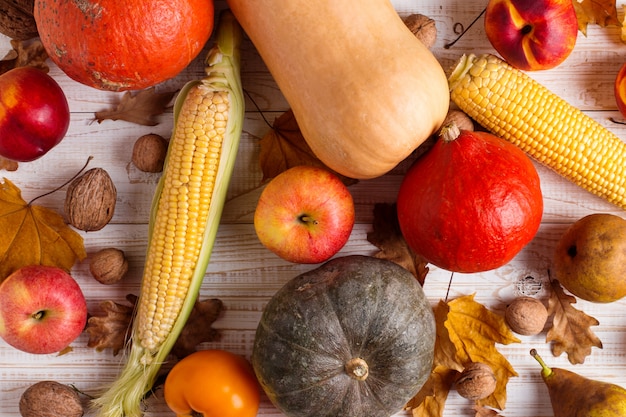 Verschillende groentenpompoenen, appels, peren, noten, maïs, tomaten, droge gele bladeren op witte houten achtergrond. herfstoogst, copyspace.