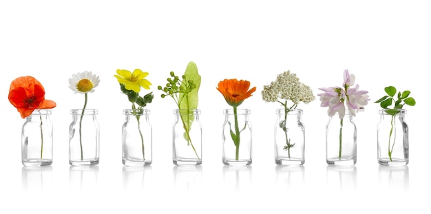 Verschillende helende bloemen in kleine glazen flesjes op witte muur