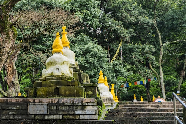 Verschillende kleine witte stoepa's met traditionele "Eyes of Buddha"-schilderij en een trap in de Swayambhunath-tempel, ook wel Monkey Temple genoemd. De stad van Kathmandu, reis in het concept van Nepal.