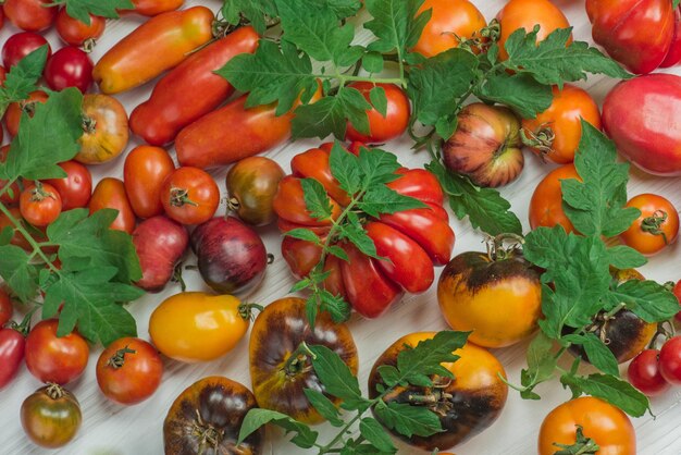 Verschillende kleurrijke tomaten op houten achtergrond Biologische groen rood geel oranje tomaten