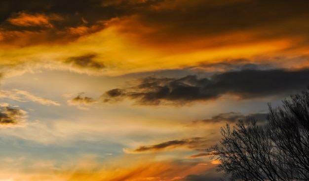 Verschillende kleurrijke wolken bij de zonsondergang met een boom