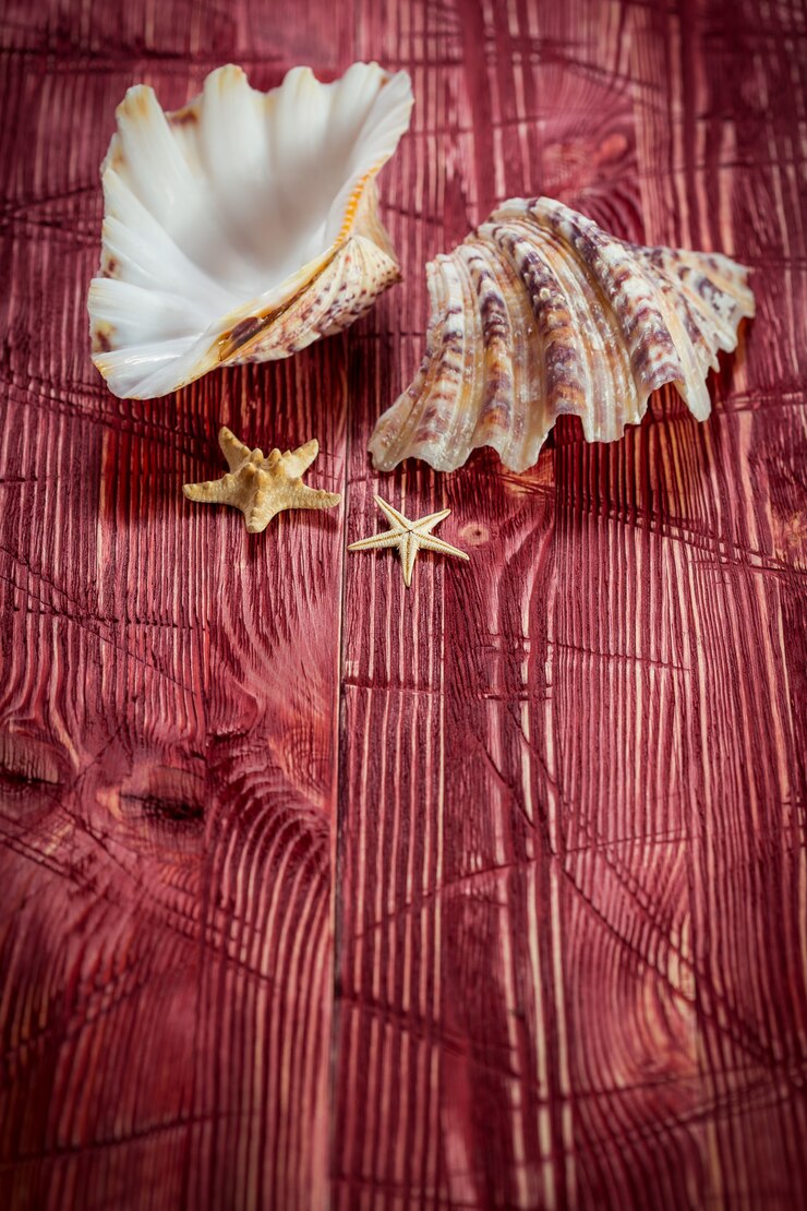 Verschillende mariene items