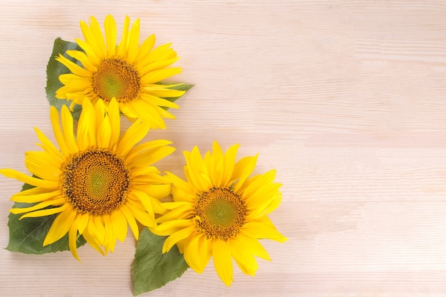 Verschillende mooie gele zonnebloemen met een blad op een natuurlijke houten achtergrond