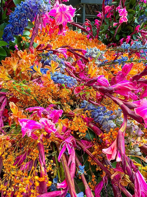 Foto verschillende soorten natuurlijke bloemen