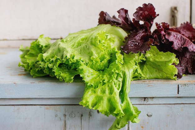 Verschillende van bladsalade