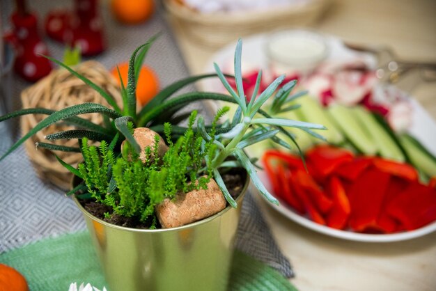 Verschillende vetplanten in een bloemenemmer op een tafel met vers gesneden groenten