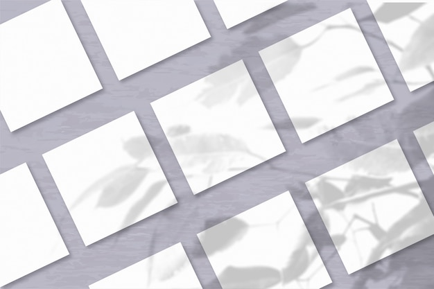 Foto verschillende vierkante vellen wit getextureerd papier tegen een grijze muurachtergrond. mockup met een overlay van plantschaduwen. natuurlijk licht werpt schaduwen van een exotische plant. horizontale oriëntatie