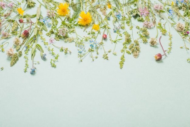 Verschillende wilde bloemen op papier achtergrond