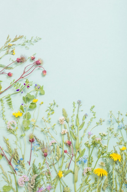 Verschillende wilde bloemen op papieroppervlak