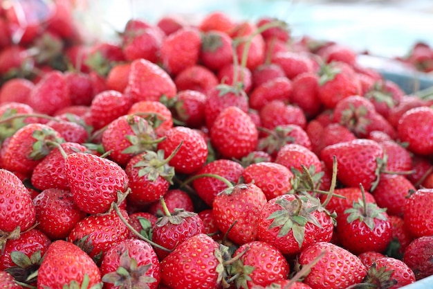 Verse aardbeien bij straatvoedsel