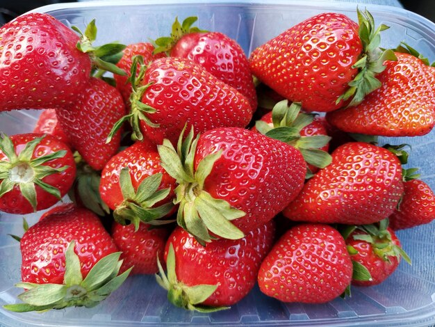 Verse aardbeien in een doorzichtig plastic bakje Mooie rode bessen van tuinaardbei