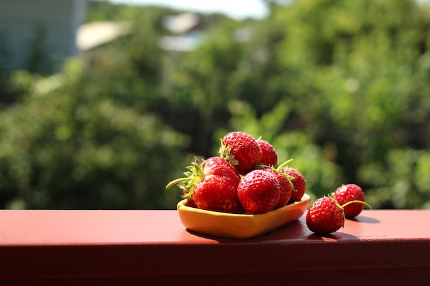 Verse aardbeien in een kopje in de natuur