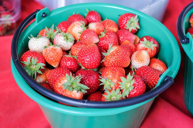 Verse aardbeien op de boom, rode rijpe bessen in groene mand.