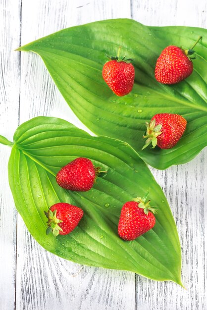 Verse aardbeien op groene bladeren