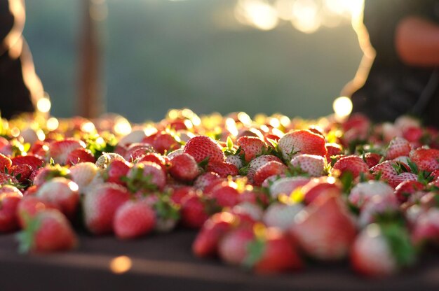 Foto verse aardbeien op tafel